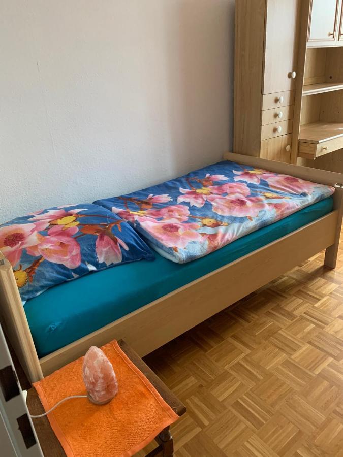 באד רייכנהל Reichenbach Apartment מראה חיצוני תמונה